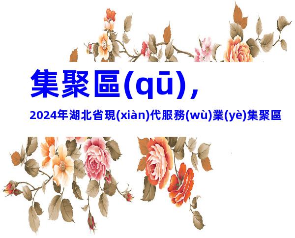 集聚區(qū)，2024年湖北省現(xiàn)代服務(wù)業(yè)集聚區(qū)認(rèn)定材料、申報(bào)條件及流程